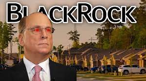 blackrock buying homes