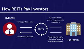 reit property